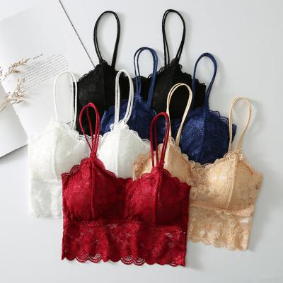 China QUICK DRY ladies plus size lace knit underwear women beauty back bra women beauty sports perspective lace wrap chest cross strap yoga bra for sale