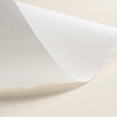 China Wood Pulp Mill Wholesale Customized Natural Porous Tipping Coarse Paper for sale