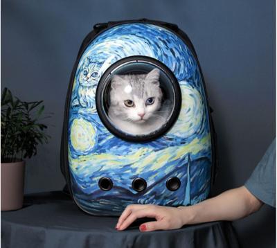 China Viable Take Out Portable Winter Cat Shoulder Bag Large Capacity Breathable Space Double Capsule For Cats To Take Out Pets for sale