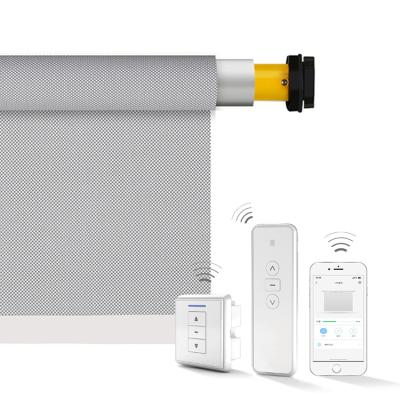 China Modern wholesale 35MM wifi electric zigbee motor smart home shading office roller blind lifting. for sale