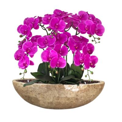 China CLASSIC European Fiberglass Shell Vase Flower Pot Planter Sea Decor Home Style Decorative Pattern for sale