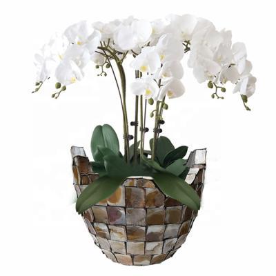 China Hot Deal Europe Shell Pearlescent Vases For Home Decor Dutch Style Handmade Decoration for sale