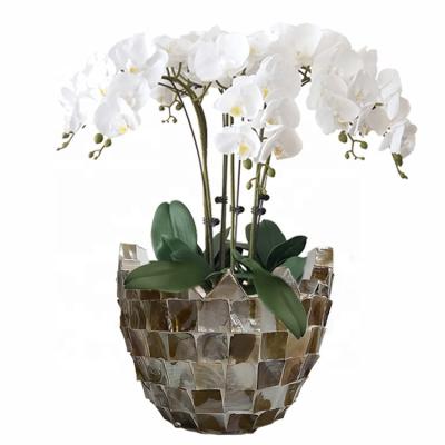 China European Style Resin Shell Fiberglass Vases Dutch Leisure for Home and Room Decor Vases for sale