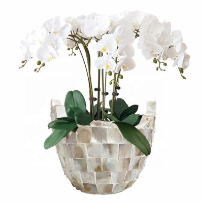 China Decorative Natural White Shell European Vase Fiberglass Flower Pots Dutch Style Europe Homewares for sale