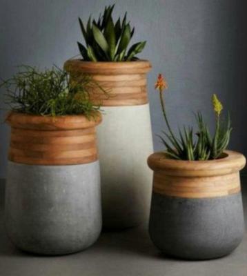 China CLASSIC Nordic style plant use wood grain flower cement potted plant succulent pots for garden for sale