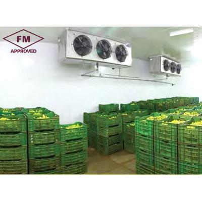 China FM certification manufacturer fruit and vegetable refrigeration banana storage cold room for sale