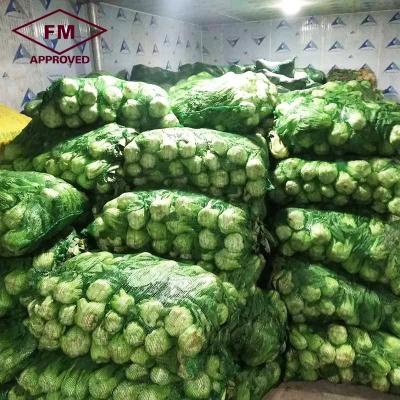 China New high quality commercial equipment industrial price fruit and vegetable Large cold storage room for sale