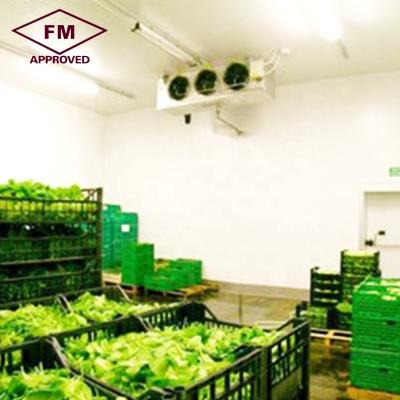 China Wholesale FM commercial equipment price fruit and vegetable large cold storage room for sale