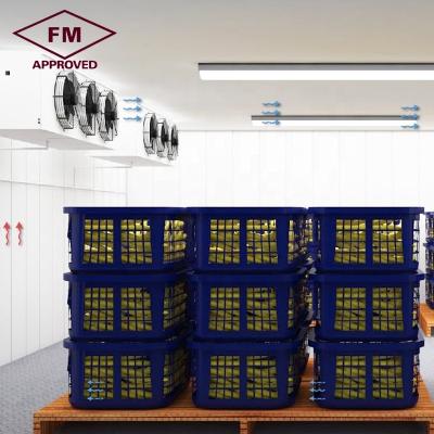 China Good Quality FM price commercial equipment banana fruit and vegetable cold storage room for sale