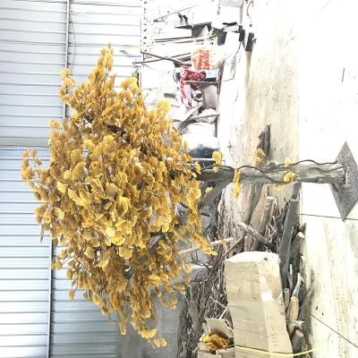 China Indoor Decoration Wholesale Customized Indoor Decoration Artificial Golden Ginkgo Tree For School for sale