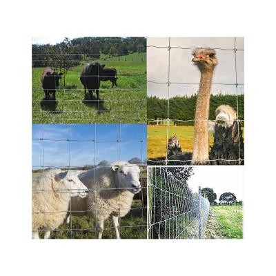 China Easily Assembled Field Fence For Sale Galvanized Pasture Field Fence 150mm Field Fence for sale