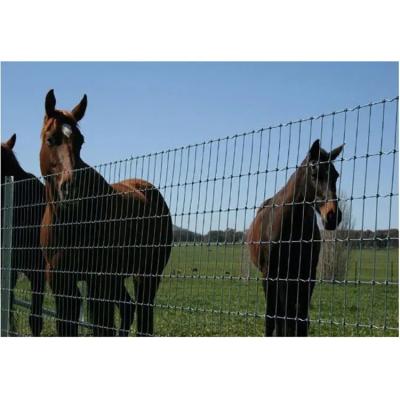 China Wholesale Cattle/Sheep/Farm/Field Easily Collected/Deer Wire Fence Galvanized Grassland Fence for sale