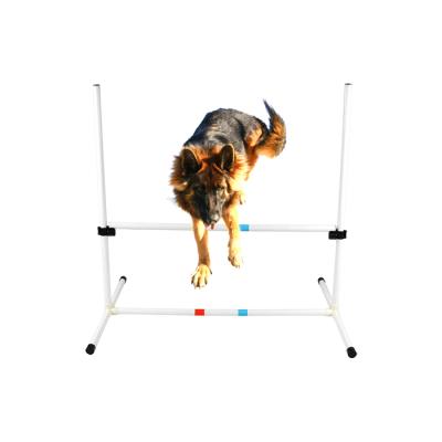 China Viable Outdoor Dog Agility Obstacle Dog Bar Jump Circles Pet Training Jumping Racks Equipment for sale