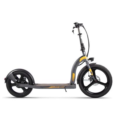 China OEM Customization XS-H100 9 Speed ​​Aluminum Alloy Aluminum 17 Battery Oh 26 Inch Electric Foldable Scooter for sale