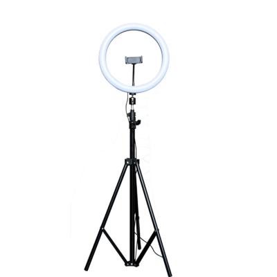 China Dimmable Hot Desk Ring Lights Camera Selfie Photographic LED Broacast Live Light for sale