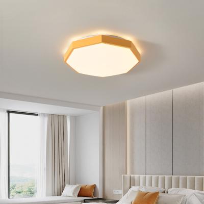 China Dimmable Smart 24w 48w Indoor Decorative Bedroom Outdoor Mounted Acrylic Modern Ceiling Led Light/Ceiling Lamp for sale