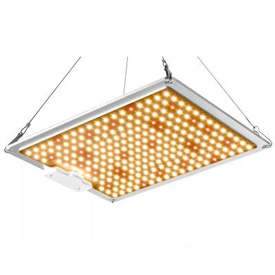 China Seed starting high efficiency lm301b quantom board led grow light 100w 240w 480w led light for plant grow for sale