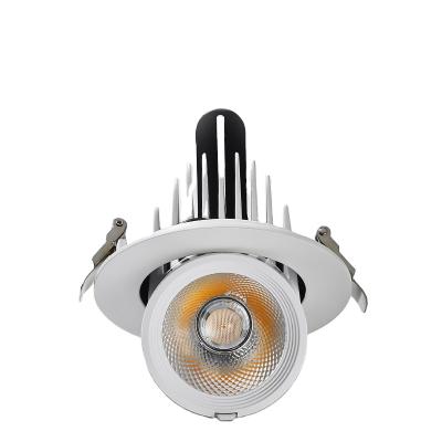 China EUROPEAN Cylinder Jumbo Gimbal Led Downlight 10w 20w 30w Adjustable Led Ceiling Downlight for sale