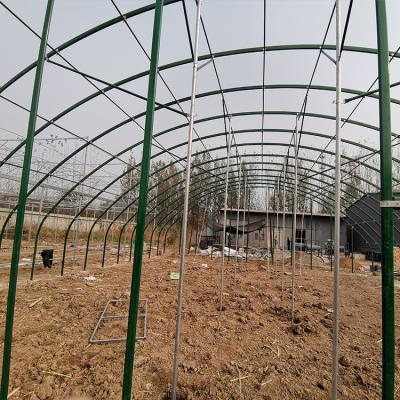 China Modern High Quality Cheap Price Plastic Film Poultry Chicken Greenhouse for sale