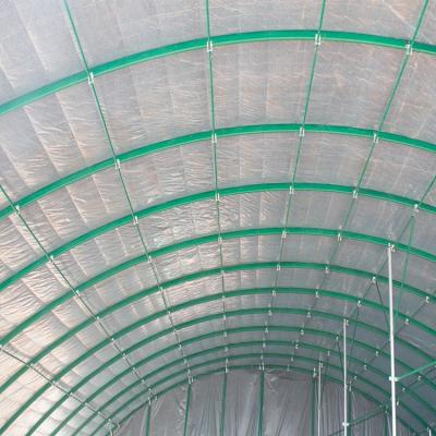 China New modern style vegetable agricultural plastic sheet greenhouse for sale for sale