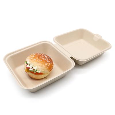 China Biodegradable Compostable in 90 Day Eco-Friendly 6 x Single Compartment 6 Bagasse Bagasse Clamshell Container Compostable Square Bagasse Hamburger Box for sale