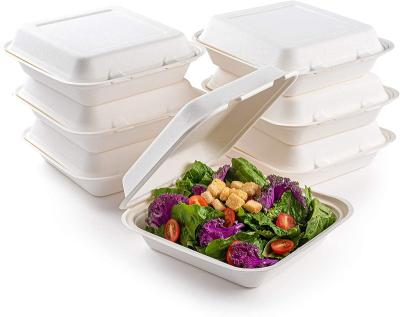 China Eco-friendly Biodegradable Tableware Clamshell Food Container 8