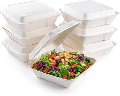 China Compostable Biodegradable Within 90 Day Size Bagasse Clamshell Pizza Burger Fast Food Disposable Biodegradable Boxes 100% Bagasse Compostable Custom Takeout Container for sale