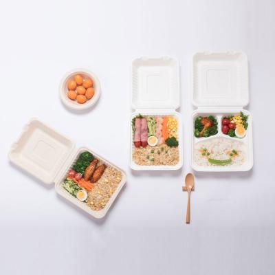 China Compostable Biodegradable Within 90 Day 100% Custom Biodegradable Square 9 Inch Sugarcane Bagasse Food Containers Bagasse Clamshell Food Container for sale