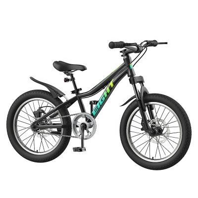 China Steel Bicycle Kids 20 Inch Bicycles For Children 10 Years Old Wholesale Price Kid Small Balance Bike Bicycles Cycle For Children for sale