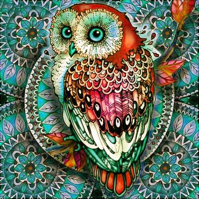 China Wholesale 5D Diamond Painting Kit American Animal Diamond Painting Kit Round Style Diamond Owl Painting For Wall Decoration for sale