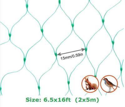 China Flexible Customized Garden Tree Nets To Protect Fruit Garden Netting Plan Tree Fruit Bird Pond Mesh Garden Bird Mesh For Birds for sale