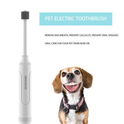 China 360 Degree Soft Low Noise Low Vibration Cat Electric Toothbrush Pet Automatic Teeth Cleaner Sustainable for sale