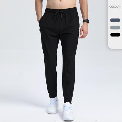 China Anti-Wrinkle Quick-Dry Cooling Feel Stretch Men's Workout Bodybuilding Clothing GYM Fitness Sweatpants Joggers Pants for sale