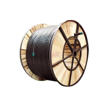 China Electronic 0.6/1KV XLPE Insulated Copper Conductor PVC Sheath YJV YJV22 POWER CABLE for sale