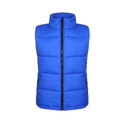 China High Quality Waterproof Supply Vest Thick Warm Goose Down Jacket Winter Jacket Men for sale