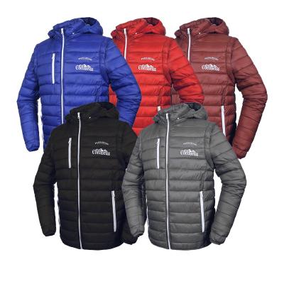 China Custom Logo 100% Waterproof Classic Design Nylon Liner Padded Goose Down Jacket Supply for sale