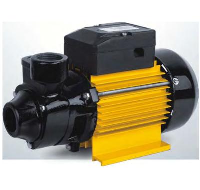 China Family Houses Factory Price Peripheral Pump 0.5HP QBN60 Vortex Pump Clean Water Self-priming Booster Pump for sale