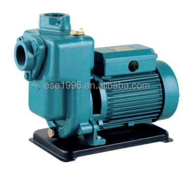 China Hot Sale 750w Agriculture Korea Good Quality High Flow Electric Irrigation Water Pump For Irrigation for sale