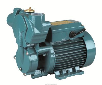 China Family Houses Price SFA550 Booster Pump Self Priming Water Pump Good For Household for sale