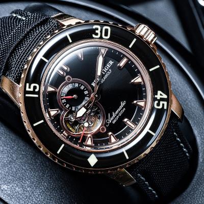 China Automatic Men Rose Gold Super Luminous Dive Watch Tiger Sport Automatic Watches Business Date Reef Observe 200M Nylon Strap Watch RGA3039 for sale