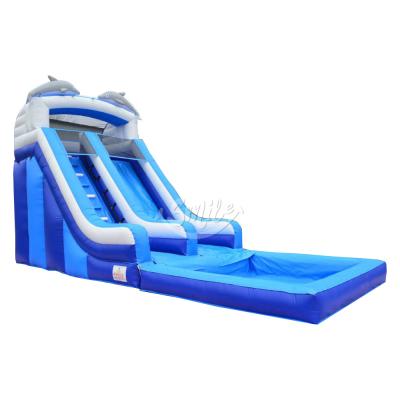 China China Dolphin Wholesale Ues Inflatable Rental Or Home Slide Waterslide For Rentals for sale