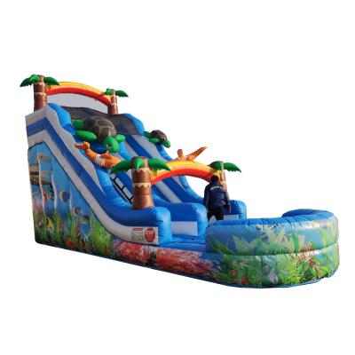 China Cheap Rental Or Home Backyard Ues Inflatable Water Slides Kids Bounce House Waterslide Inflatable Climbing Waterslide For Rentals for sale