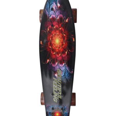 China Best price top quality good quality youth hot sale fish cruiser skateboard with pp material for sale