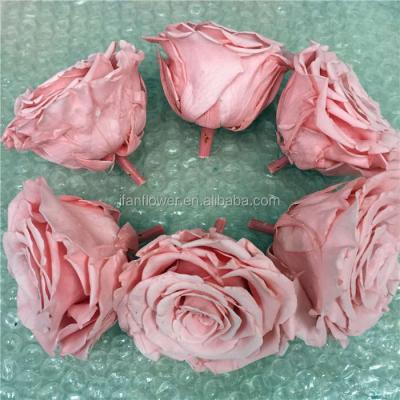 China Romantic Celebration Birthday Gifts Girl Fresh Cut Rose Varieties Wholesale Flowers for sale