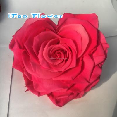 China Environmental Protection Green Romantic Real Touch Heart Shape Preserved Flowers Decoration for sale