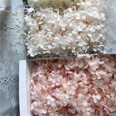 China Preserved hydrangea timeless green special unfading environmental protection flowers for sale