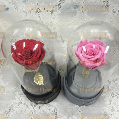 China Environmental protection grade real green iFan natural A preserved rose flower in glass dome music box gift for sale