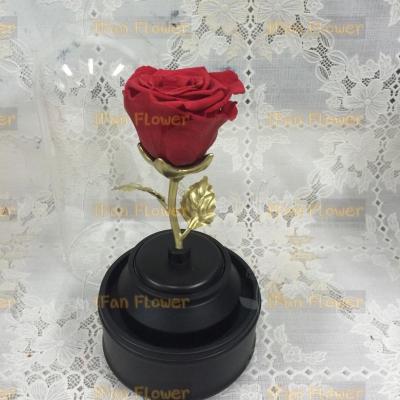 China Environmental protection green luxury preserved Rose Floral Constellation Long lasting Rose Crystal Ball Rotary Music Box for sale