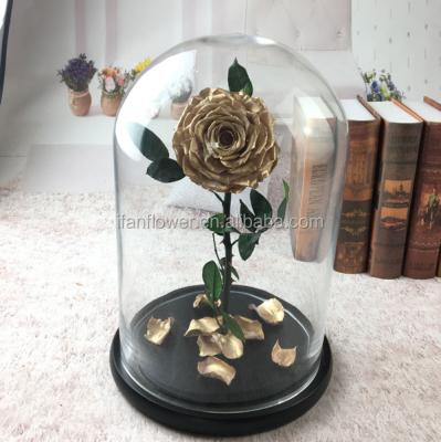 China Environmental Protection Wholesale Green Golden Preserved Roses Flower Glass for sale