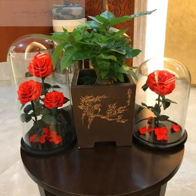 China 100% Real Environmental Protection Flower Color Long Lasting Rose Green Preserved Multi Color Fresh Natural Real Preserved Rose In Glass Dome for sale